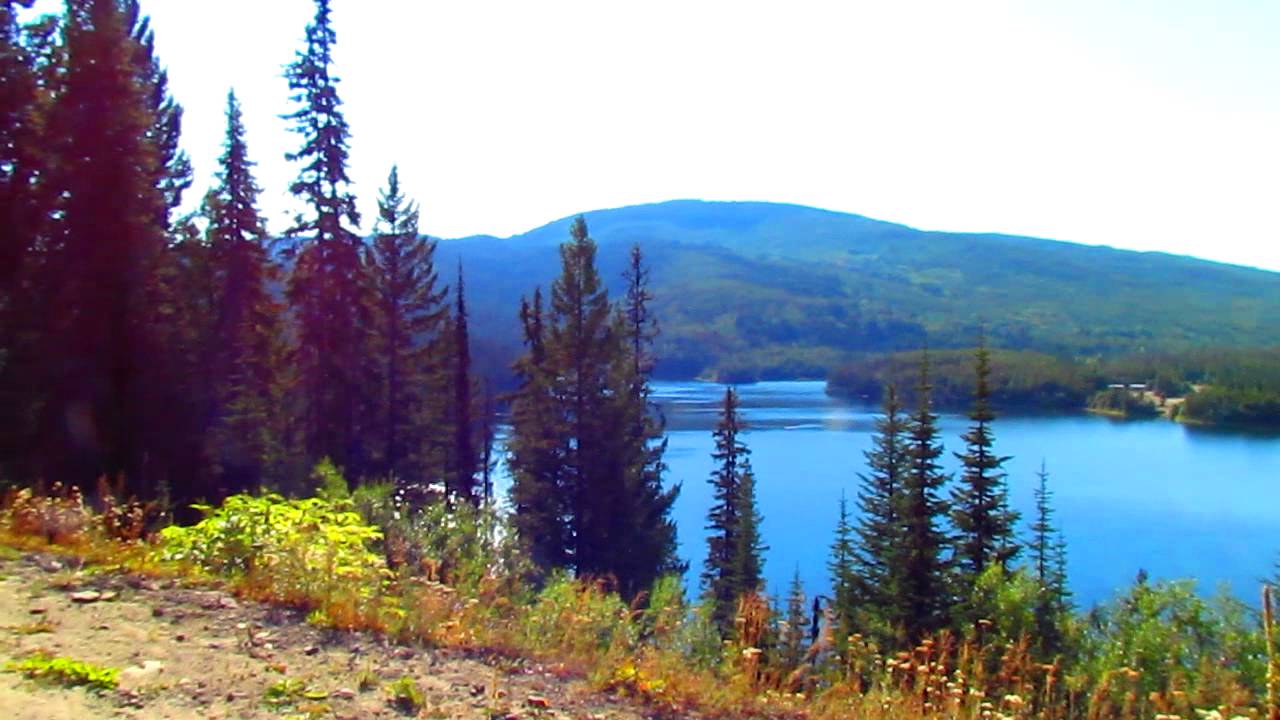 hauthume lake bear main loon in water reigon 8.MOV