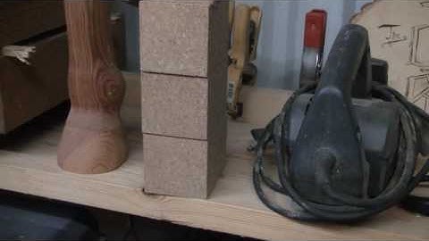 Canvasback Decoy and shop tour