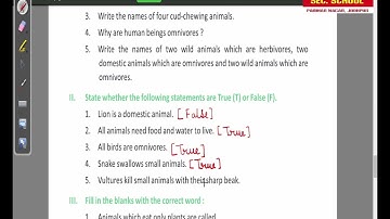 Class 3 EVS Chapter 14 Food For Animals (Question answer) Part 2 by Kavita choudhary