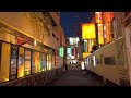 【4K】Walk from Uguisudani to Nishi-Nippori at night【Osmo Pocket】