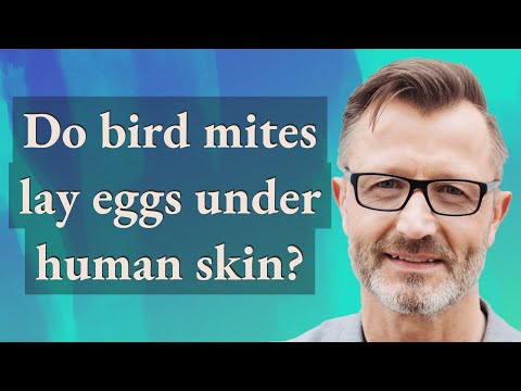 Do bird mites