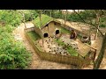 Rescued 200 duckling and building the most creative duck house with swimming pool