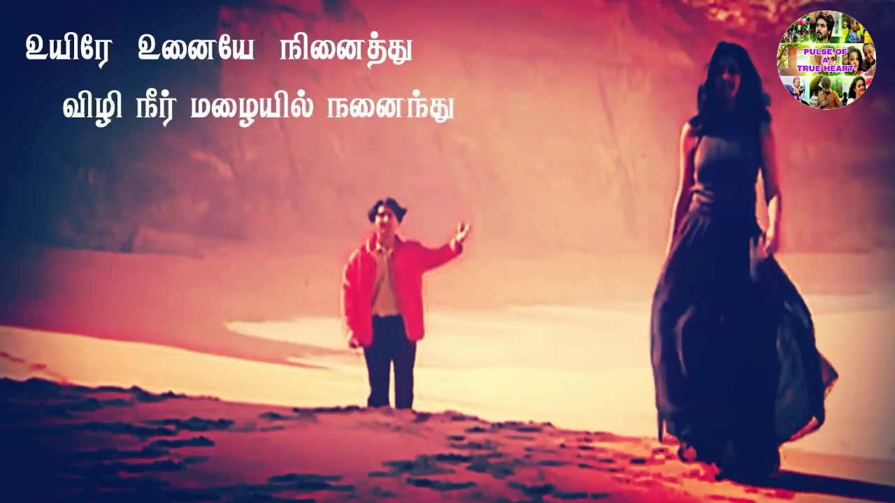 Enna vilai alage love tamil love song love watsapp status love