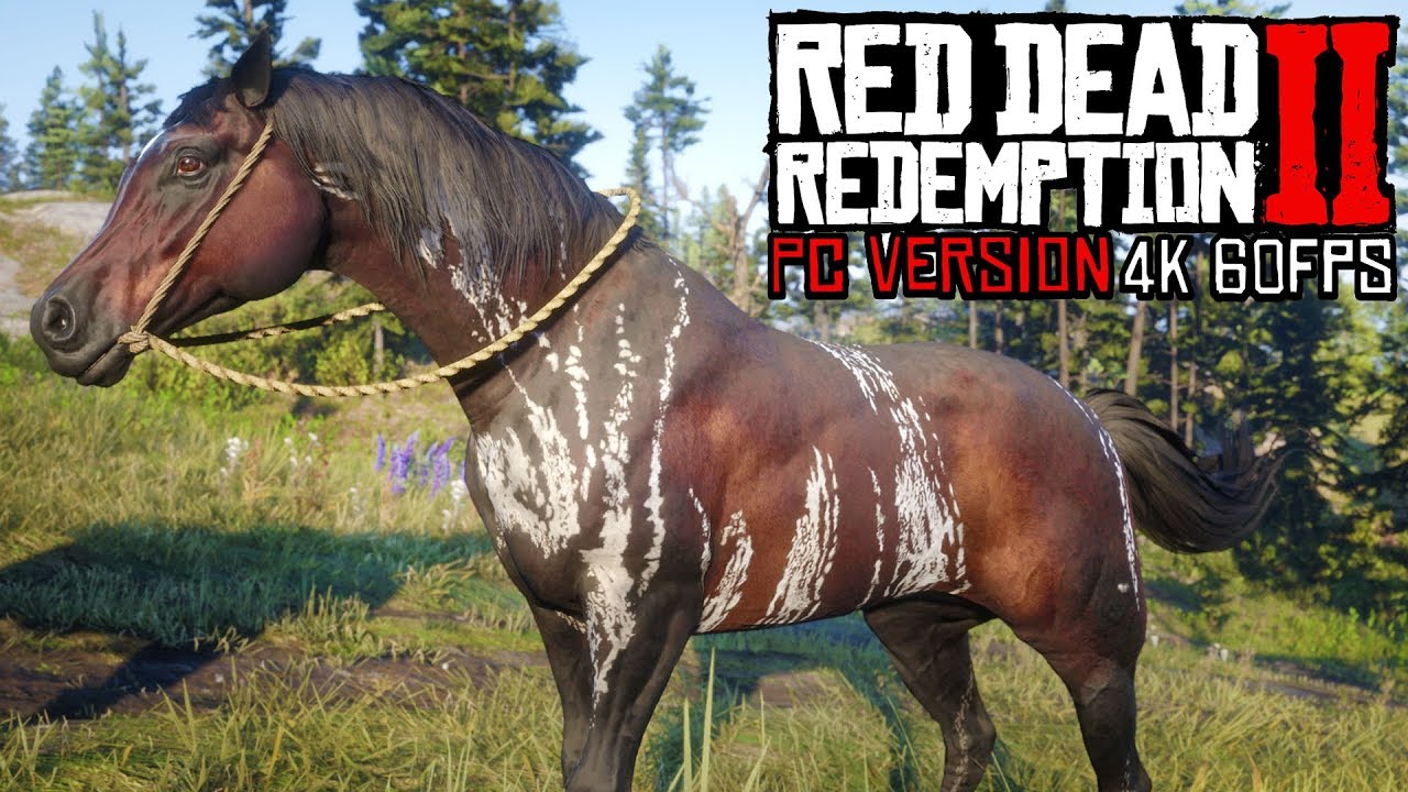 New Warped Brindle Arabian & More New Red Redemption - YouTube