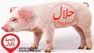 فتاوى طبية |  حكم أكل لحم الخنزير  16 5 2017