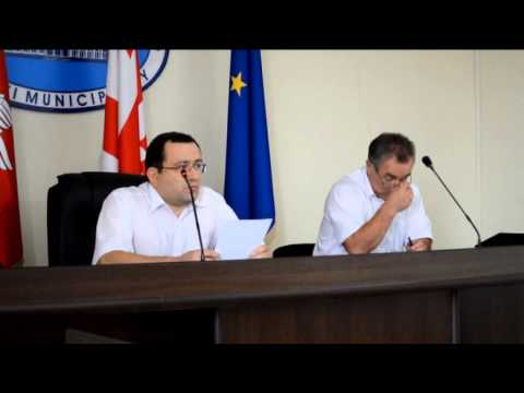 დავით ძნელაზე - კომისიის თავმჯდომარე (II სხდომა - 08/08/2014)