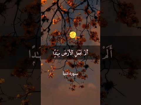 الم نجعل الارض مهادا  سورة النبأ  بلال دربالي 