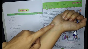 DAV Class-5 (My Living World) Science Ch-1 My Body Part-1 / Breathing System