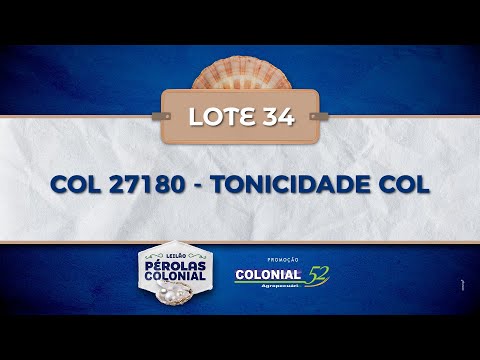 LOTE 34 COL 27180