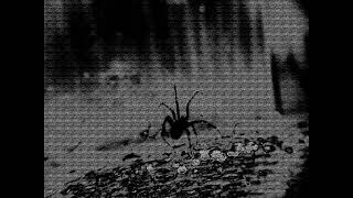 [FREE] FREDDIE DREDD x DOOMSHOP TYPE BEAT - CURSE