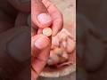 زيادة حجم الزغليل الصغار Pigeons ابورياض الحمام اللاحم الفرنسى 