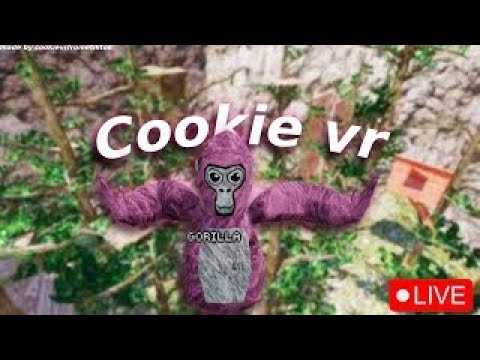 Recroom and Gtag (COOKIES BACKK!!)