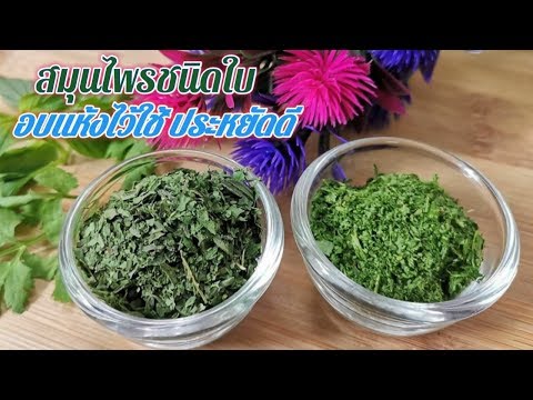 วิธีทำสมุนไพรใบเขียวอบแห้งในไมโครเวฟ  | How to dry herbs in microwave | Fit and Fun