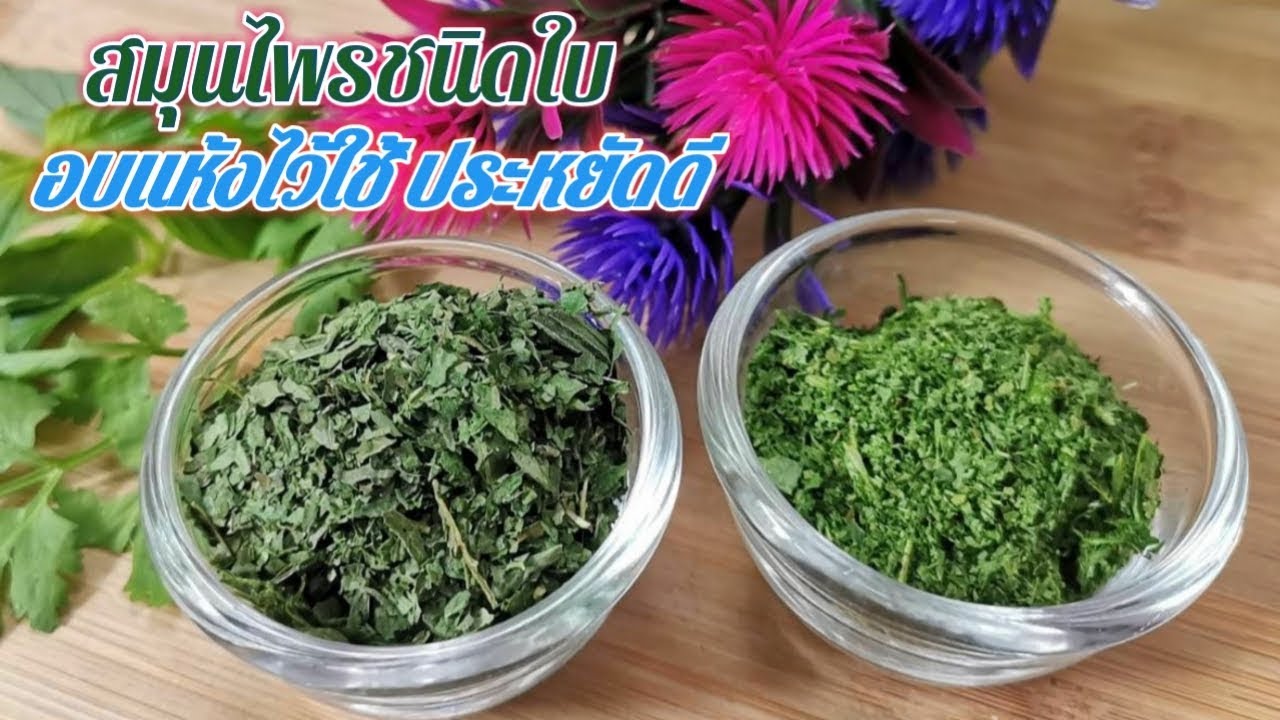 วิธีทำสมุนไพรใบเขียวอบแห้งในไมโครเวฟ  | How to dry herbs in microwave | Fit and Fun | เนื้อหาทั้งหมดเกี่ยวกับรายละเอียดมากที่สุดขาย ใบ ชา อบ แห้ง