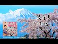 三波春夫『百年桜』Lyric video