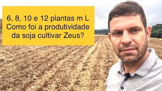 População de plantas e produtividade da soja cultivar Zeus