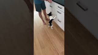 Madicken Stänger Kökslåda