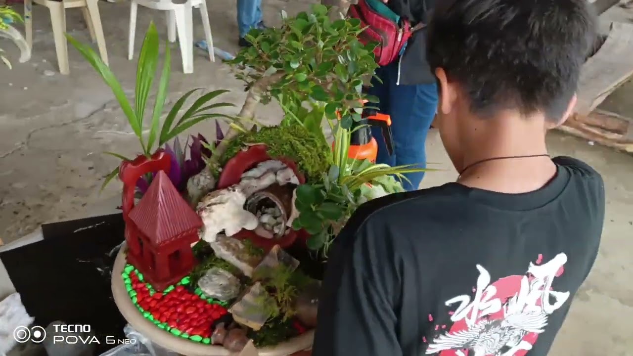 DISH GARDENING COMPETITION