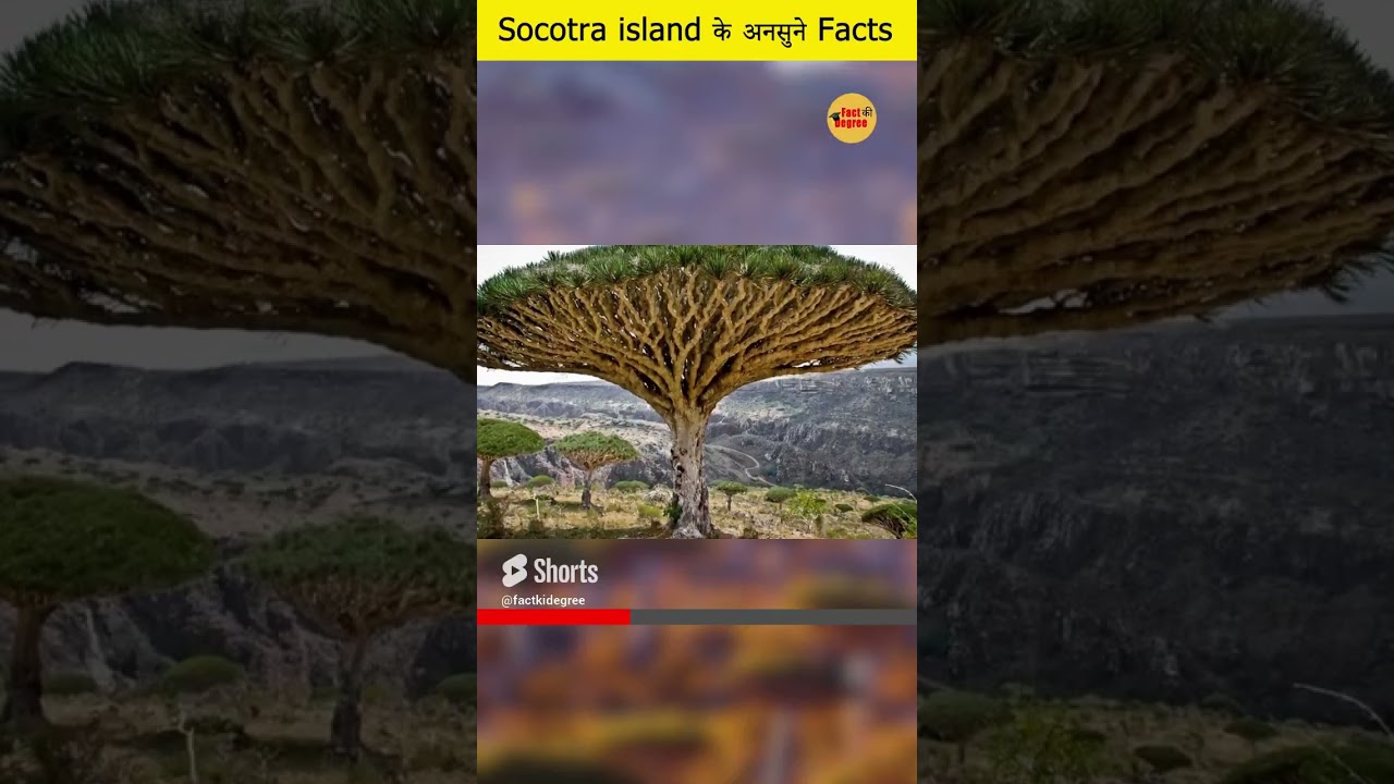 Socotra island अनोखे  Facts 