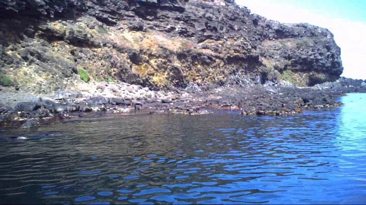Julia Percy Island sightseeing