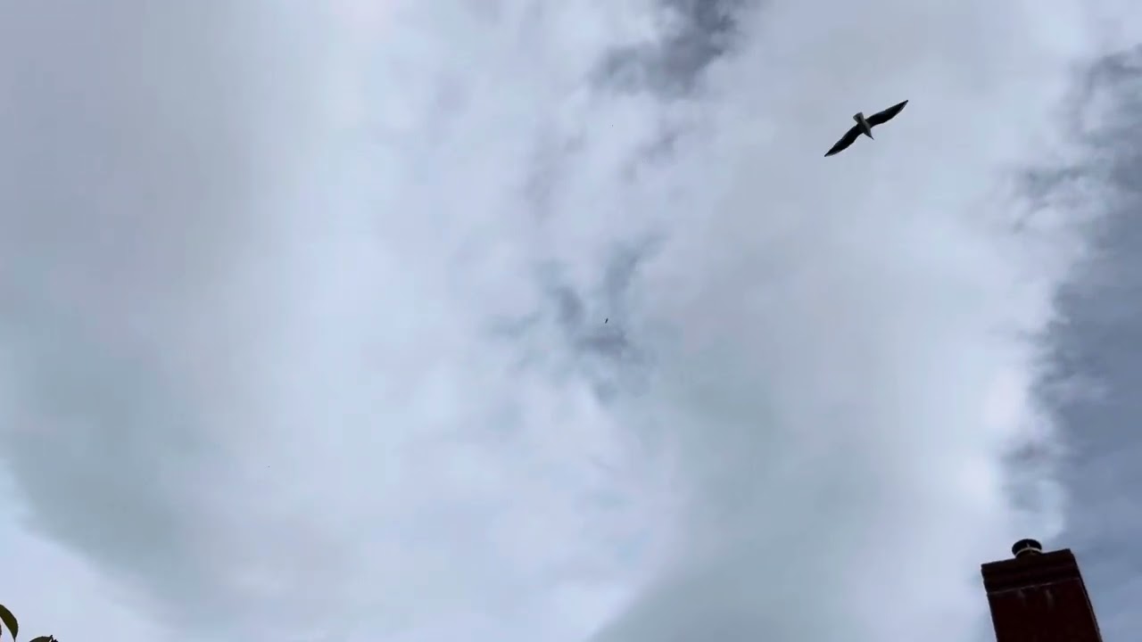 The private Leonardo AW109SP GrandNew REG. G-TJPK flies over my house at high altitude 27/11/2025