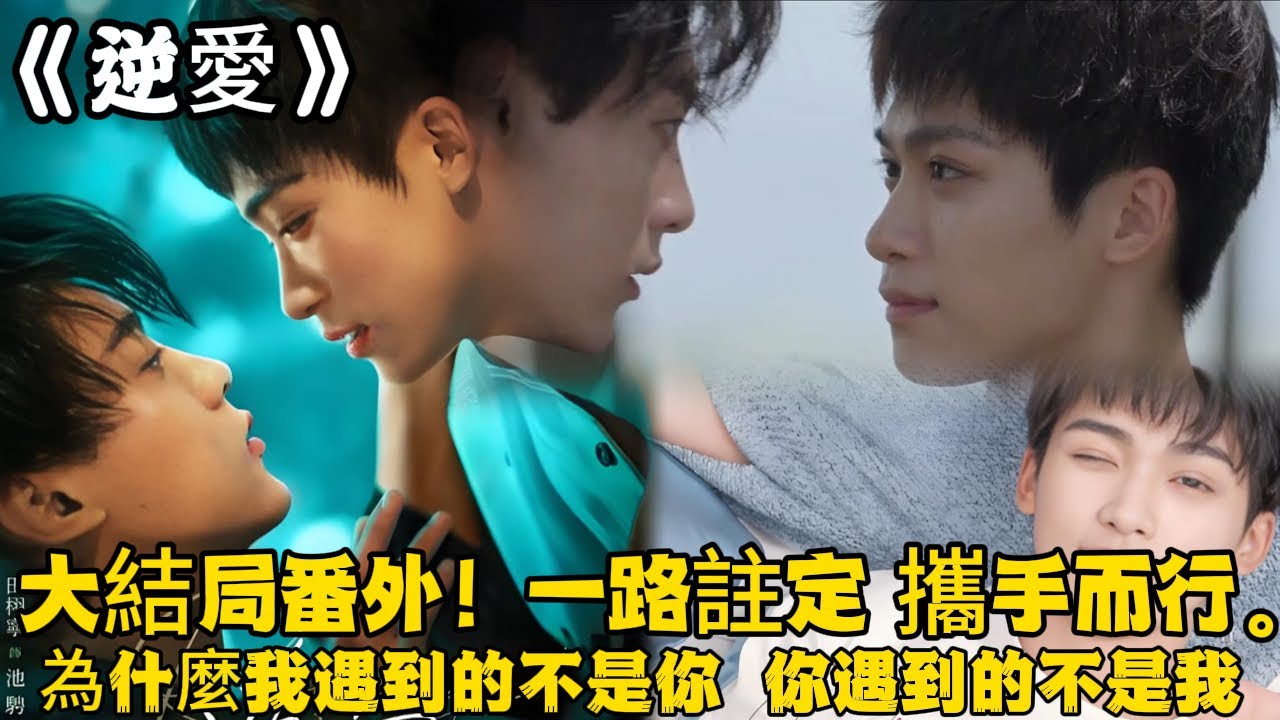 《逆愛》：大結局番外！一路註定，攜手而行。“池騁，我有點嫉妒了，為什麼我遇到的不是你，你遇到的不是我。”#田栩宁 #梓渝 #吴所畏 #池骋 #逆爱