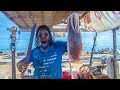 Cuttlefish And Squid Fish Cutting Skills | How To Clean Cuttlefish And Squid Fish