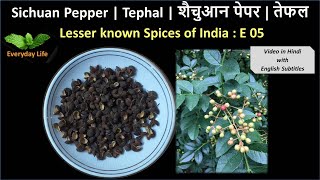 Sichuan Pepper | Tephal | शैचुआन  पेपर | Lesser known Spices of India: EP 05  | Everyday Life #15