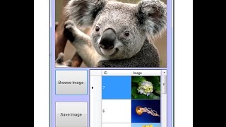 Part - 3 Fill DataGridView With Table Images