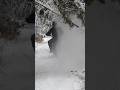 *NEW* Talaria MX5 Winter Riding