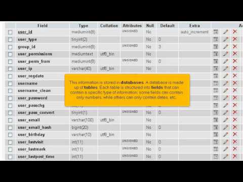 NextGen Web Hosting Tutorials: What is a MySQL database?