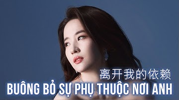 [Vietsub + Pinyin] Buông Bỏ Sự Phụ Thuộc Nơi Anh - 离开我的依赖 | 王滢美 Vương Diễm My