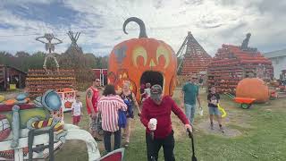 My Movie Welcome to The Great Pumpkin Farm