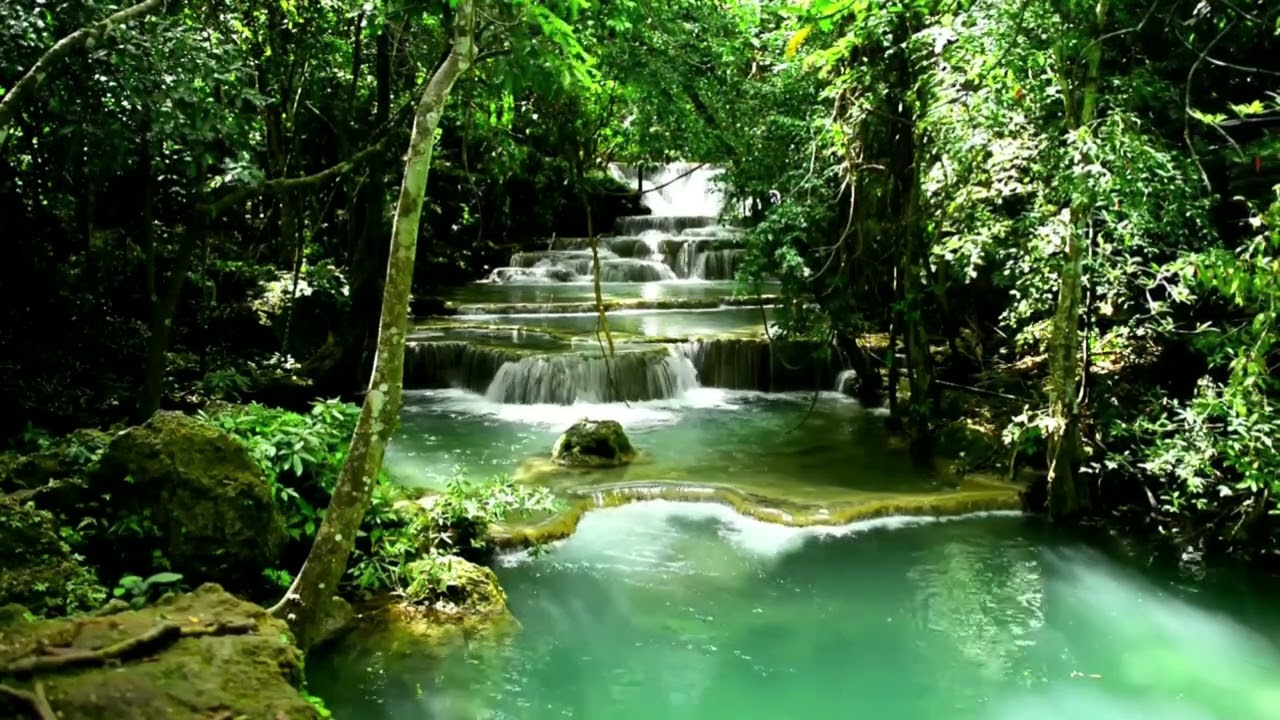 Instant Relief from Stress and Anxiety  Detox Negative Emotions  Calm Nature Healing Waterfalls