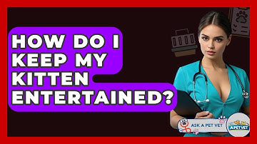 How Do I Keep My Kitten Entertained? - Ask A Pet Vet