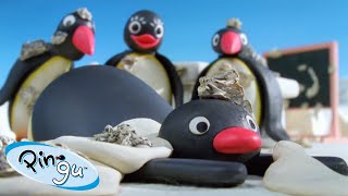 Pingu Enjoys Art!🐧 | Pingu - Official Channel | Cartoons For Kids
