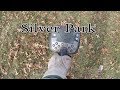 Etrac Metal Detecting Silver all over in the park