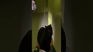 Nyan Cat in the Backrooms Nextbot Gmod
