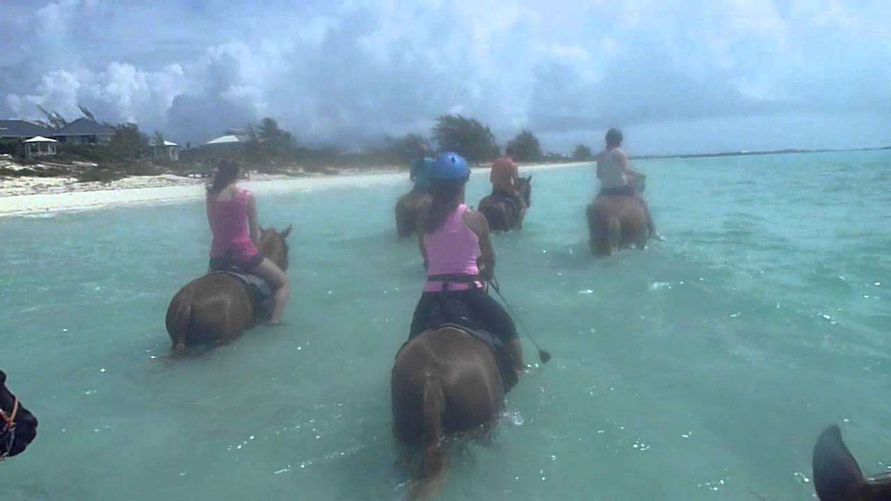 Horseback Riding in the Water YouTube