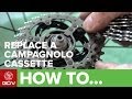 How To Replace A Campagnolo Cassette - GCN's Maintenance Mondays