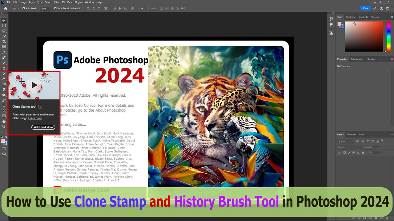 How to Use Clone Stamp and History Brush Tool in Photoshop 2024 - YouTube
