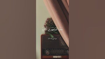 القارئ : ماهر المعيقلي ❤️ سورة : نوح( 4-12)🌹