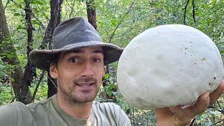 Giant Puffball Mushroom!! Is it still Good??