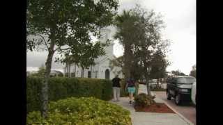 Port St. Lucie Tree Protection and Preservation Ordinance