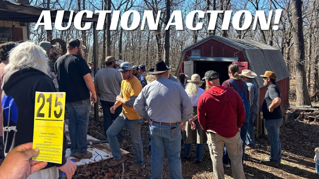 HUGE Hoarder AUCTION!!!!