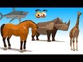 CUBE BUILDER for KIDS (HD) - Various Animals Compilation (4) - AApV