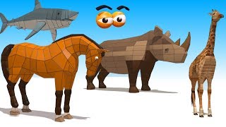 CUBE BUILDER for KIDS (HD) - Various Animals Compilation (4) - AApV