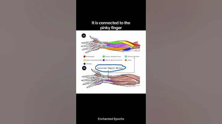 Michelangelo infused life into stone #history #art #oldies