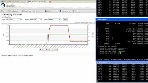 Maximize Effective Throughput across the WAN
