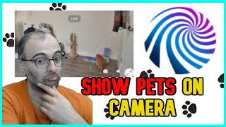 Mix It Up - Create a Pet Cam Channel Reward screenshot 4